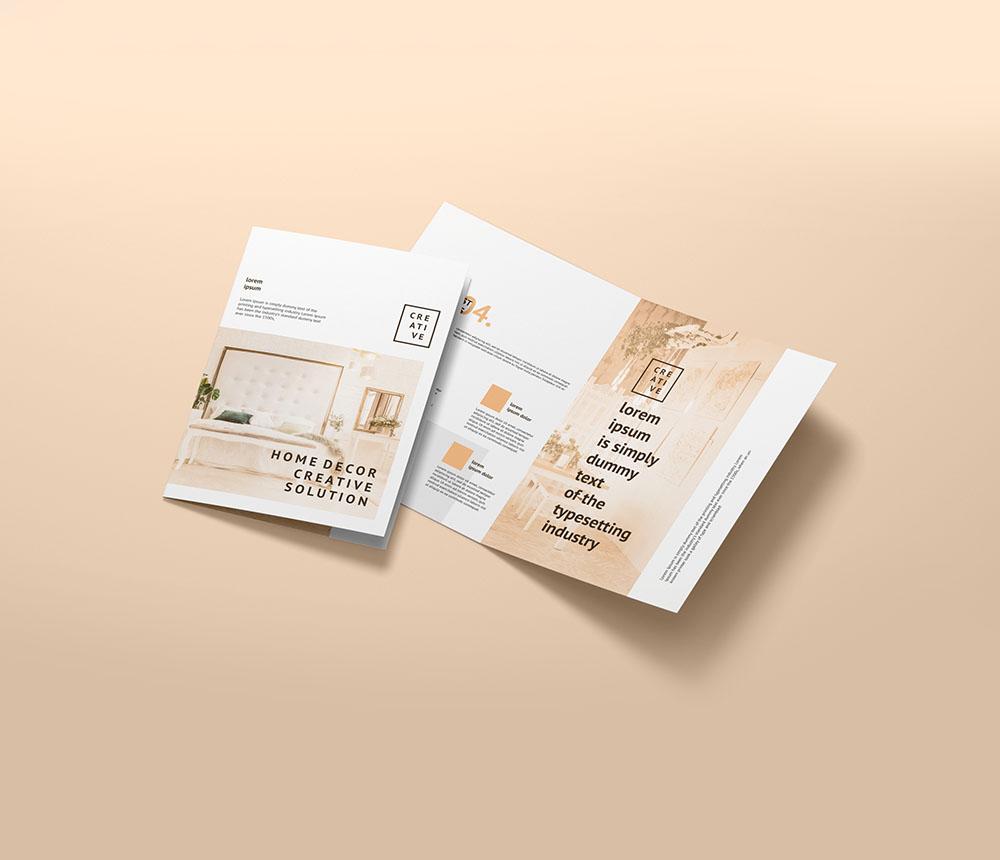 Brochure & Flyer Design