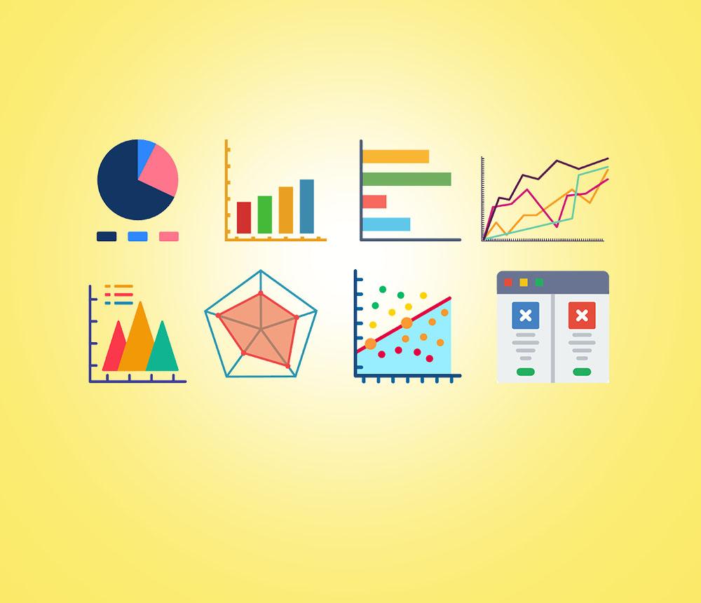 Infographic & Data Visuals